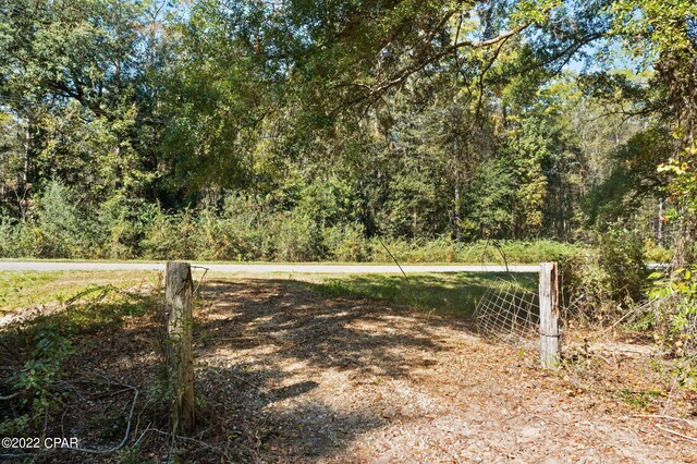 3199 Pate Pond Rd, Vernon, FL 32462
