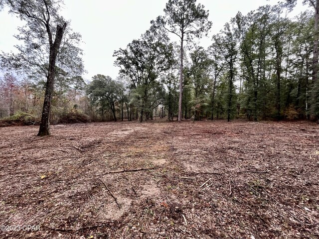 3199 Pate Pond Rd, Vernon, FL 32462