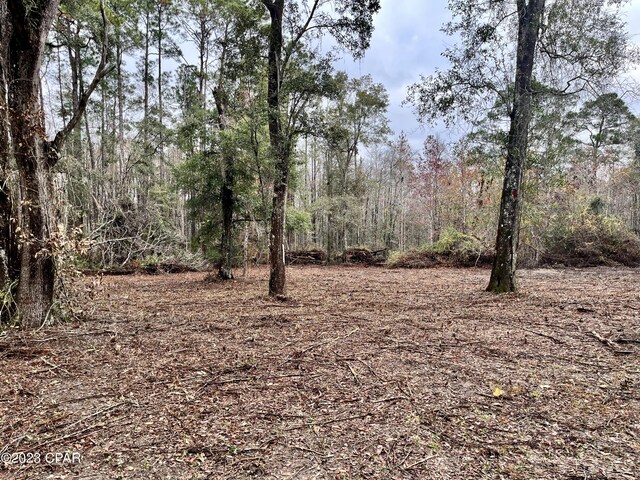 3199 Pate Pond Rd, Vernon, FL 32462