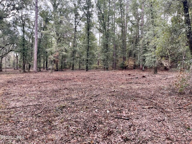 3199 Pate Pond Rd, Vernon, FL 32462