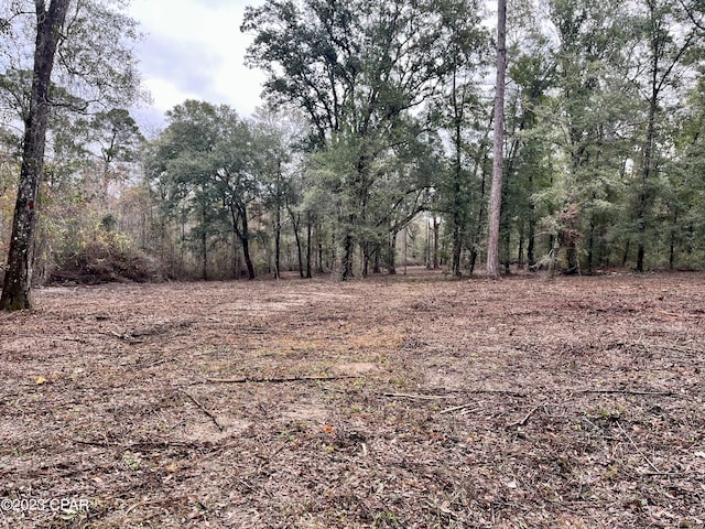 3199 Pate Pond Rd, Vernon, FL 32462
