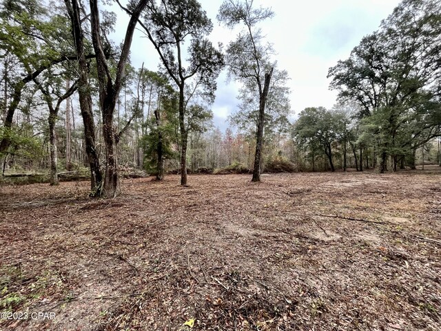 3199 Pate Pond Rd, Vernon, FL 32462