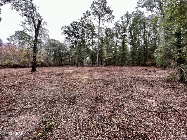 3199 Pate Pond Rd, Vernon, FL 32462