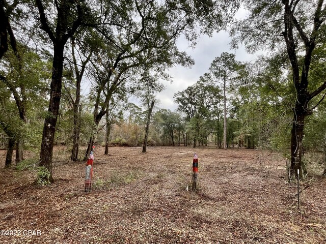 3199 Pate Pond Rd, Vernon, FL 32462