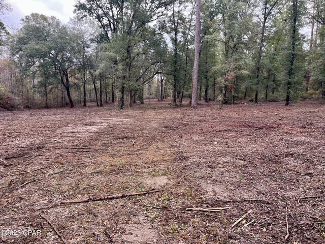 3199 Pate Pond Rd, Vernon, FL 32462