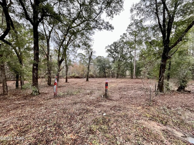 3199 Pate Pond Rd, Vernon, FL 32462