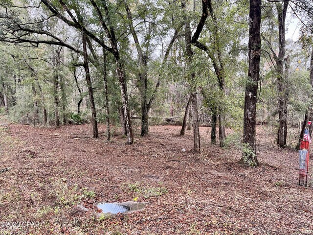 3199 Pate Pond Rd, Vernon, FL 32462