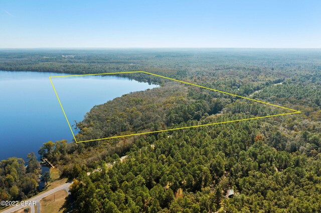 3199 Pate Pond Rd, Vernon, FL 32462
