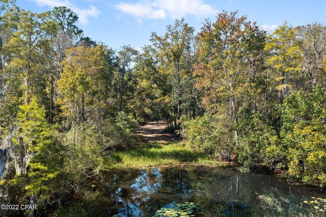 3199 Pate Pond Rd, Vernon, FL 32462