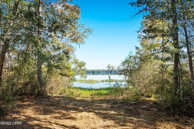 3199 Pate Pond Rd, Vernon, FL 32462