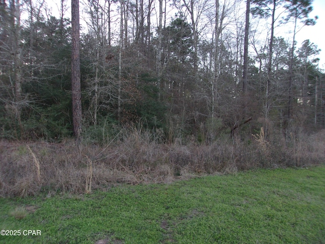 Listing photo 2 for 000 S Hwy 79, Bonifay FL 32425