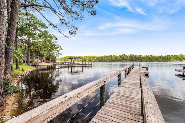 dock area with a water view