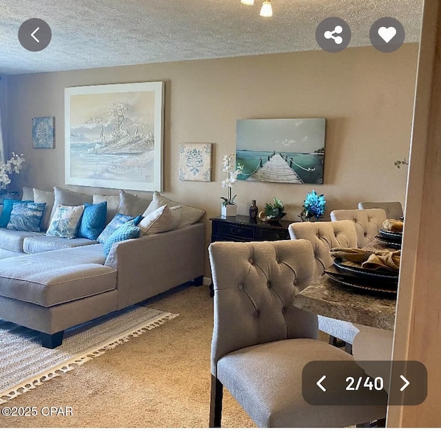 carpeted living area featuring a textured ceiling