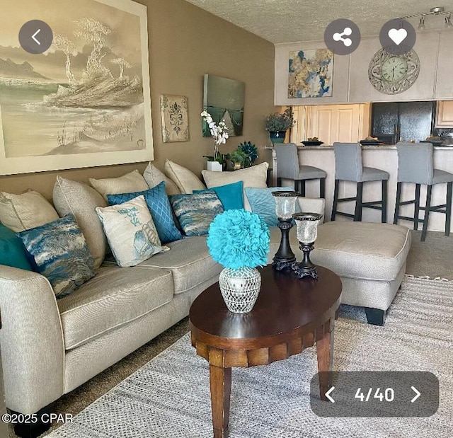 living room featuring carpet floors and a textured ceiling