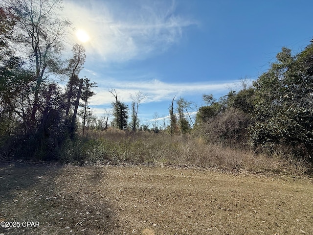 00 Oak Dr, Marianna, FL 32446