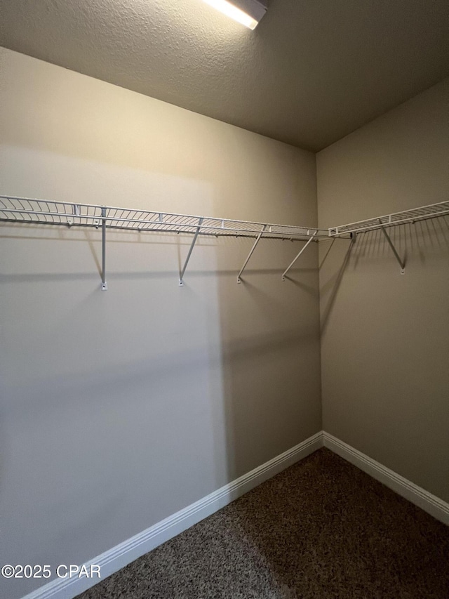 walk in closet featuring carpet flooring