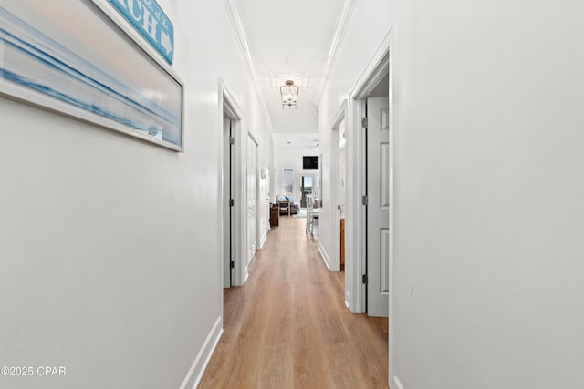 corridor featuring baseboards, light wood-style flooring, and crown molding