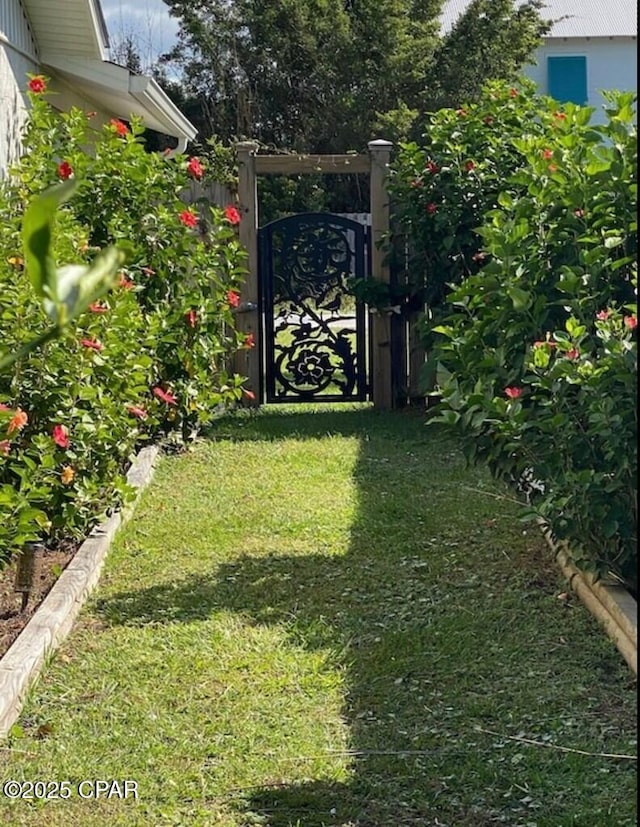 view of yard with a gate