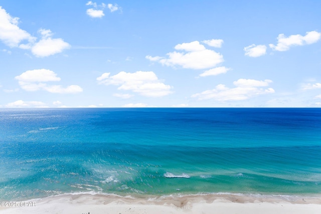 view of water feature featuring a view of the beach