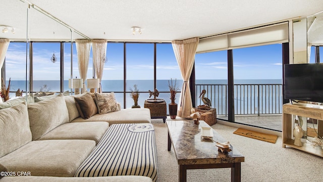 carpeted living room with floor to ceiling windows and a textured ceiling