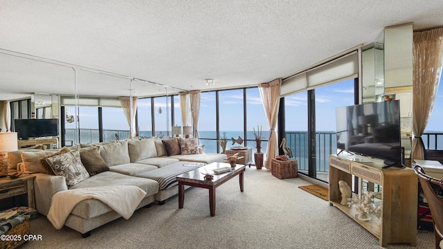 living room featuring floor to ceiling windows, rail lighting, carpet floors, and a textured ceiling