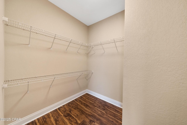 spacious closet featuring dark wood-type flooring