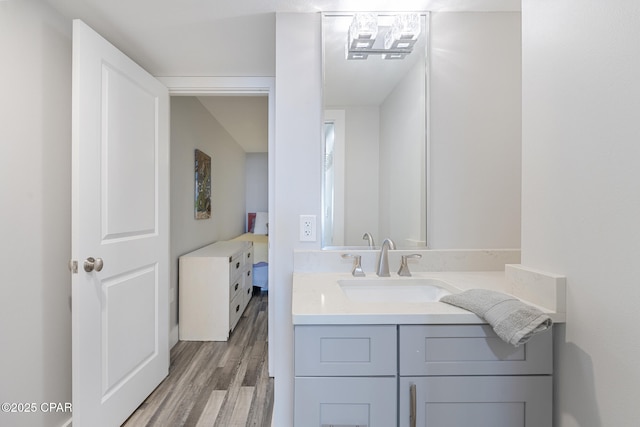 bathroom featuring wood finished floors and vanity