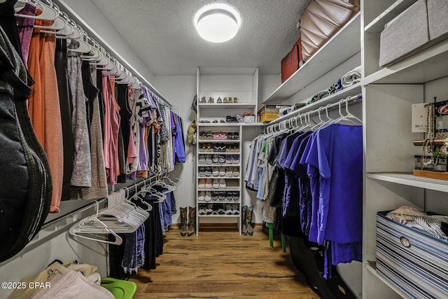 spacious closet with dark wood finished floors