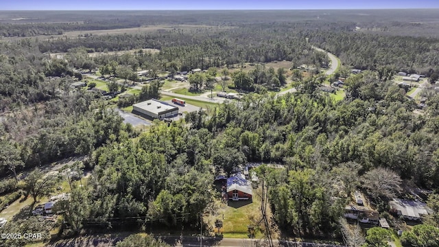 aerial view with a view of trees