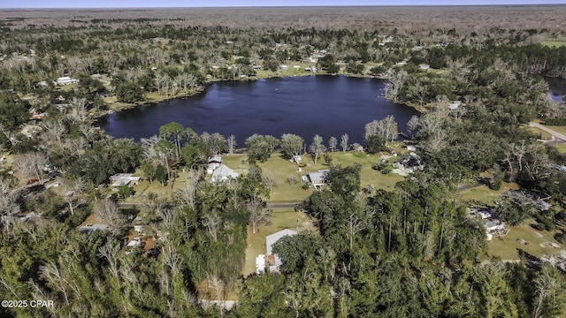 aerial view featuring a water view and a wooded view