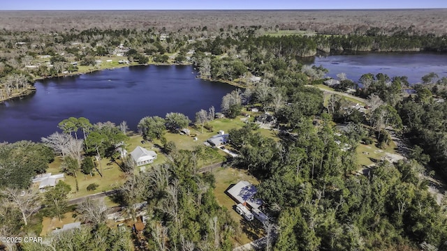 bird's eye view featuring a water view and a forest view