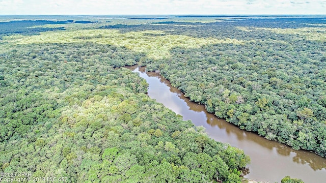 birds eye view of property featuring a water view and a view of trees