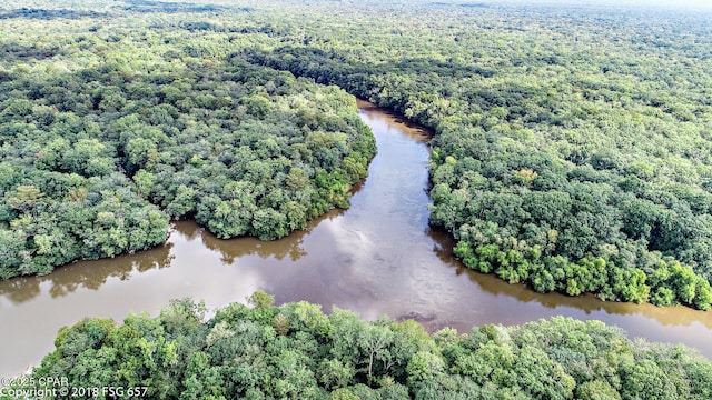 drone / aerial view with a water view and a forest view