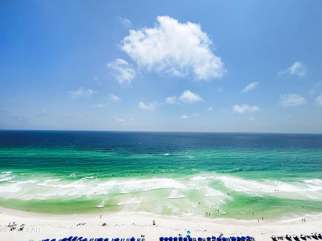 water view featuring a beach view