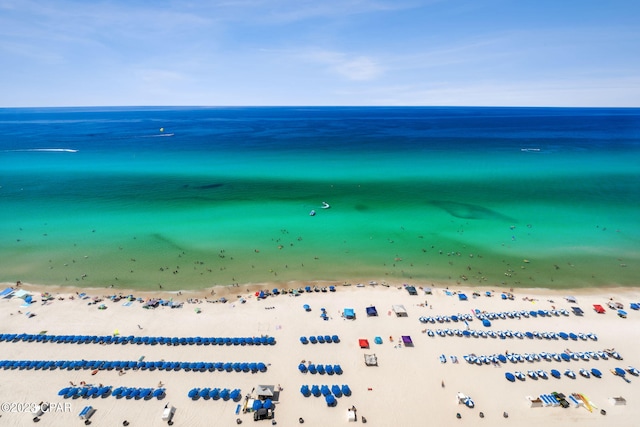 property view of water with a beach view