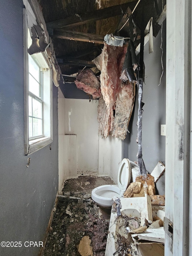 bathroom with toilet