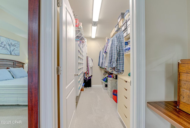 spacious closet featuring light carpet