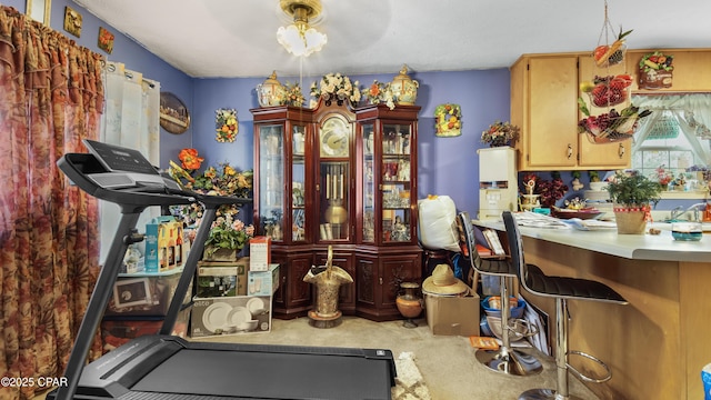 workout area with carpet flooring