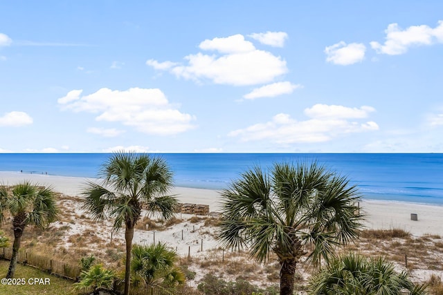 property view of water featuring a beach view