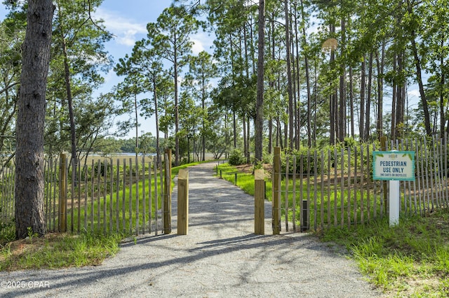 view of road with a gated entry and a gate