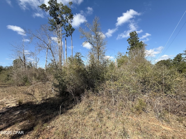 00 Tanager Ct, Marianna FL, 32448 land for sale