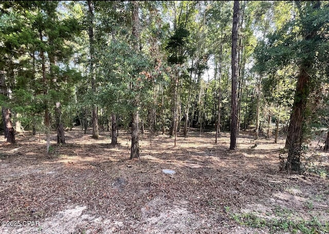 00 Keenkutter Rd, Vernon FL, 32462 land for sale