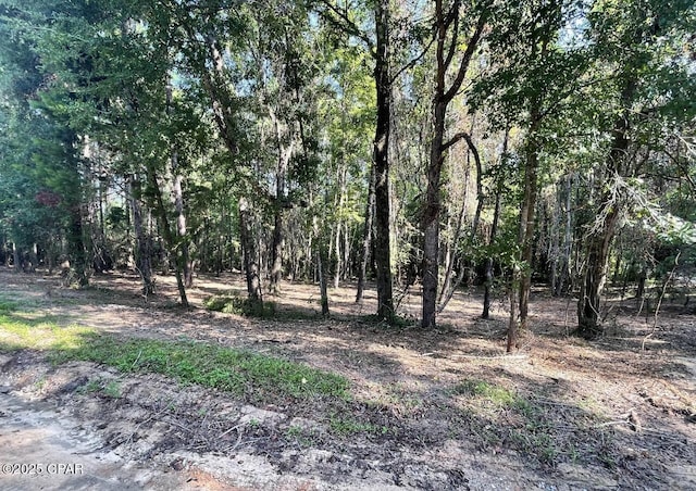 Listing photo 2 for 00 Keenkutter Rd, Vernon FL 32462