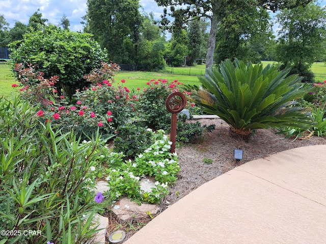 3368 Bevia Rd, Marianna, FL 32446 - view of yard featuring view of scattered trees