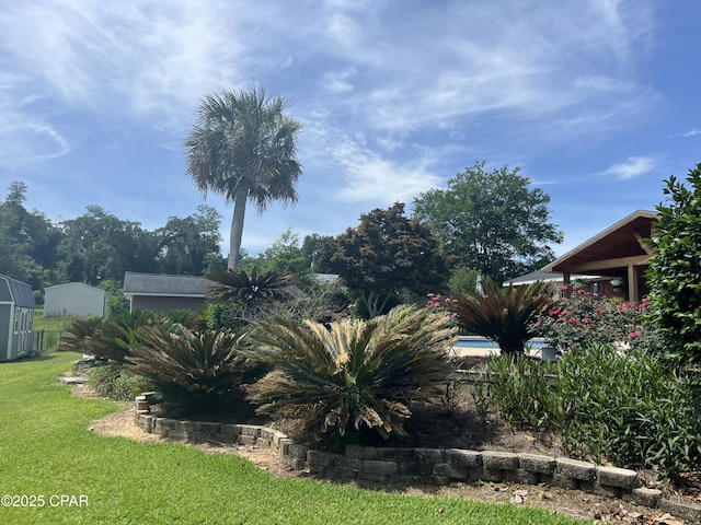 3368 Bevia Rd, Marianna, FL 32446 - view of green lawn