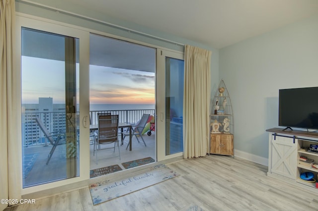 doorway with a wealth of natural light, baseboards, and wood finished floors