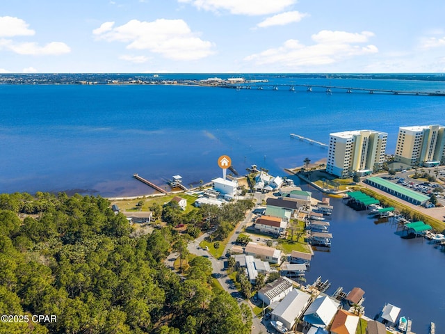 bird's eye view with a water view