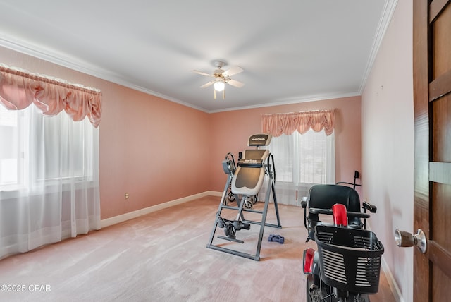 exercise room featuring baseboards, carpet floors, ceiling fan, and crown molding