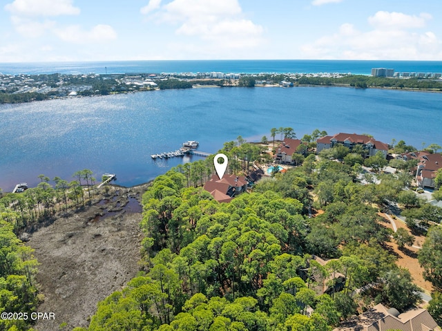 aerial view with a water view