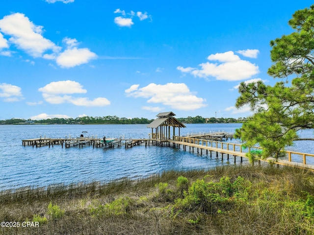 dock area with a water view